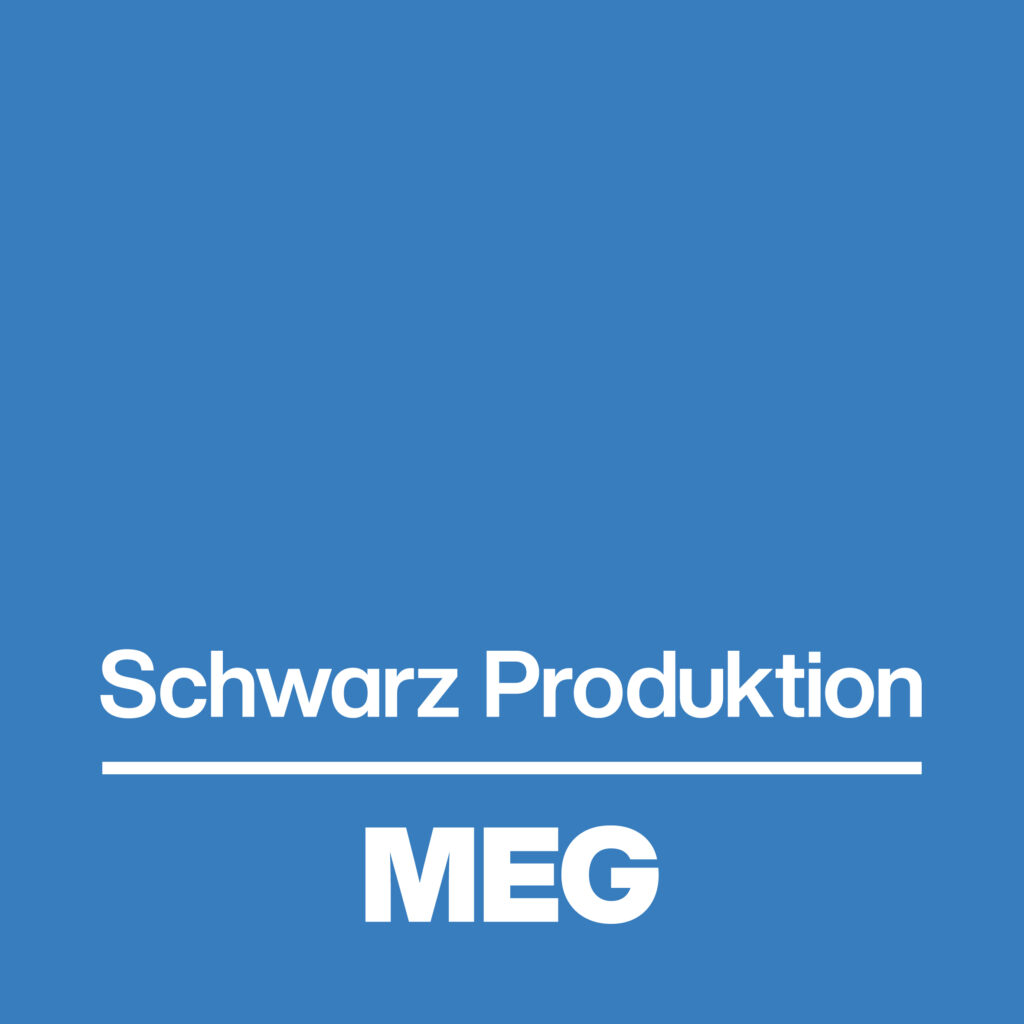 MEG_rgb
